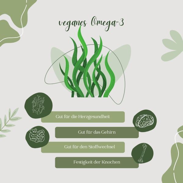 veganes-Omega-3